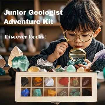 Gem & Mineral Treasure Box