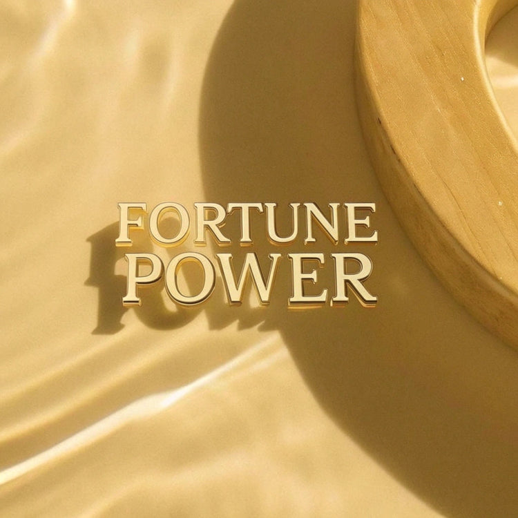Fortune Power