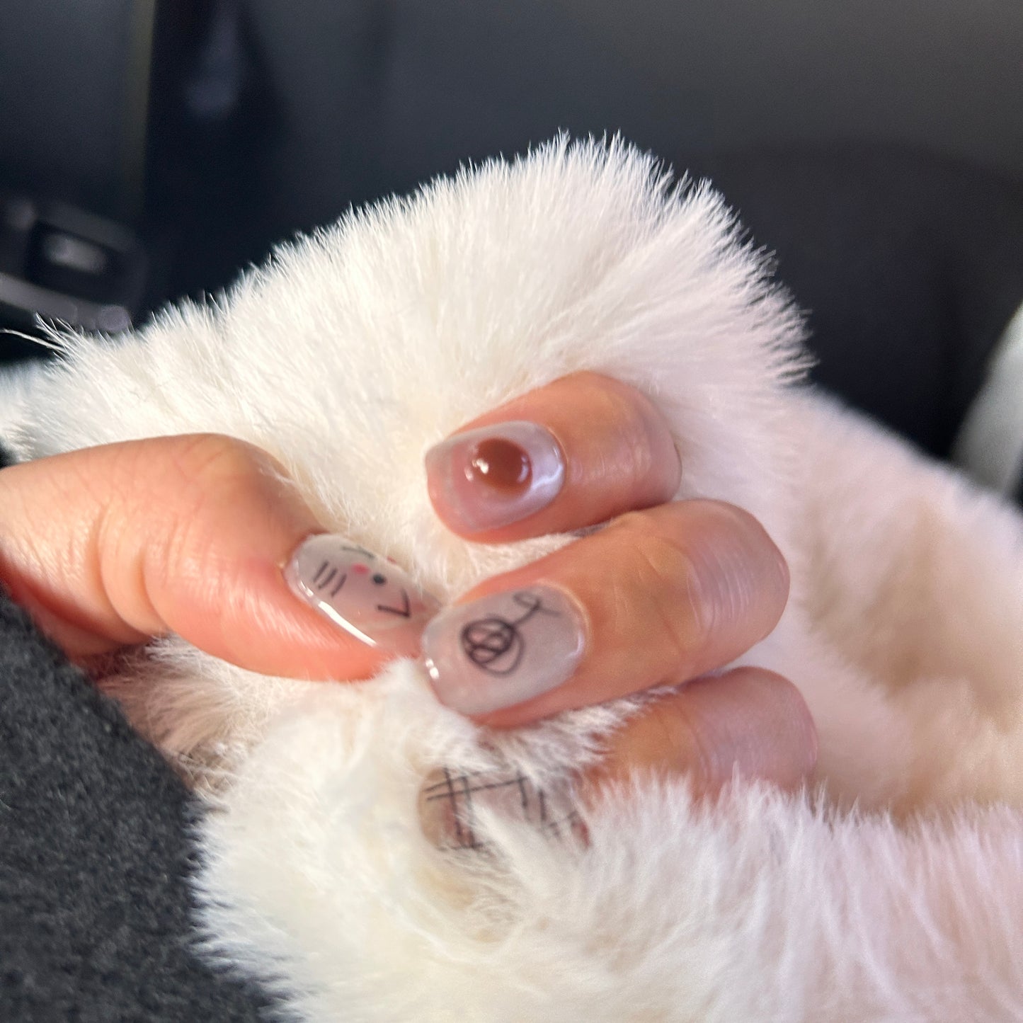 Joy Power Reusable Adorable Paws Press On Nails